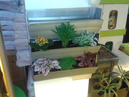 Exemple de mur végétal (existe en divers coloris)